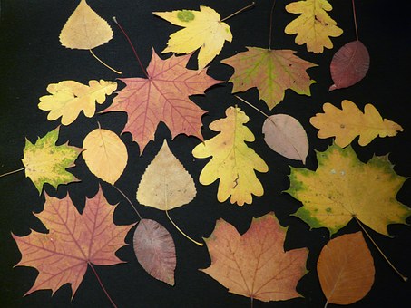 Herbstbasteln Herbstbasteln