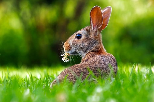 Ostererlebniswanderung für Groß und Klein Ostererlebniswanderung für Groß und Klein