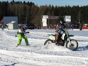 Skikjöring Skikjöring