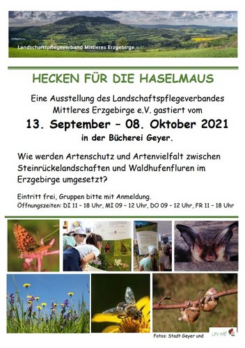 Hecken für die Haselmaus - Ausstellung Hecken für die Haselmaus - Ausstellung